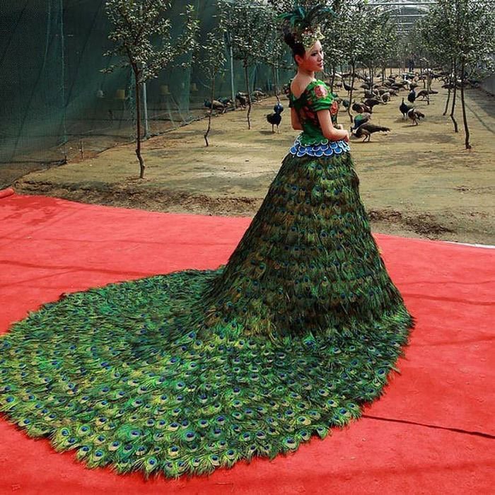 rochie paun